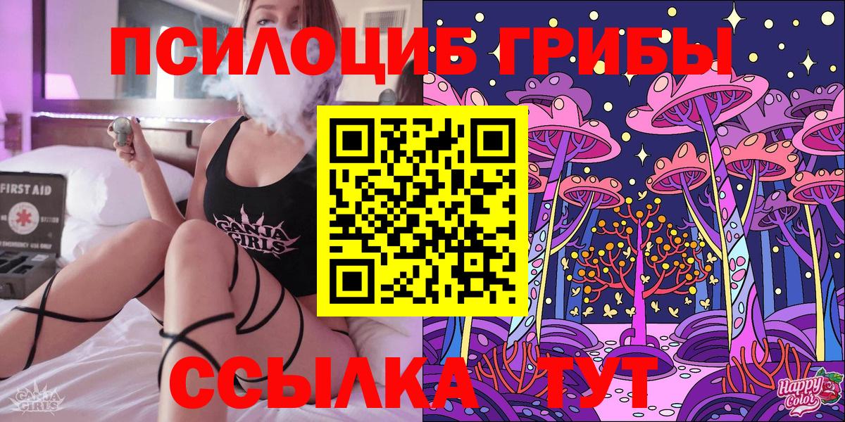 Псилоцибиновые грибы Psilocybe  Вход с VPN  Псилоцибиновые грибы мицелий  Зима 